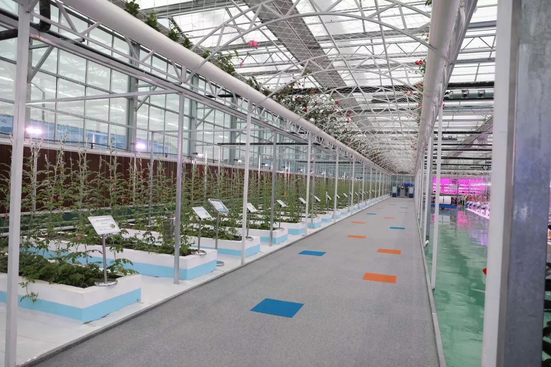 激情干事,激情燃烧干事创业