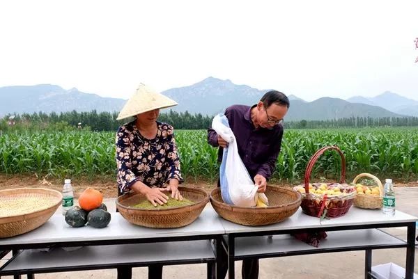 北京海淀对接赤城县扶贫项目,海淀对口扶贫
