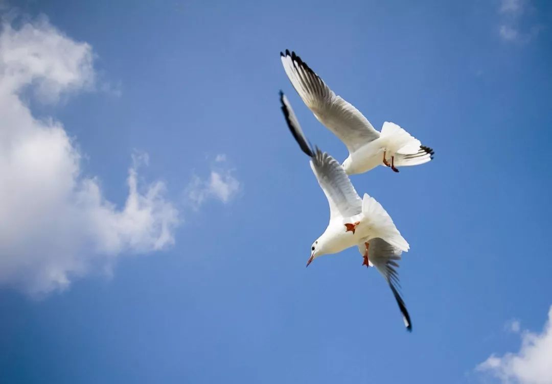 塘沽海洋开发区怎么样,塘沽海洋科技园在哪