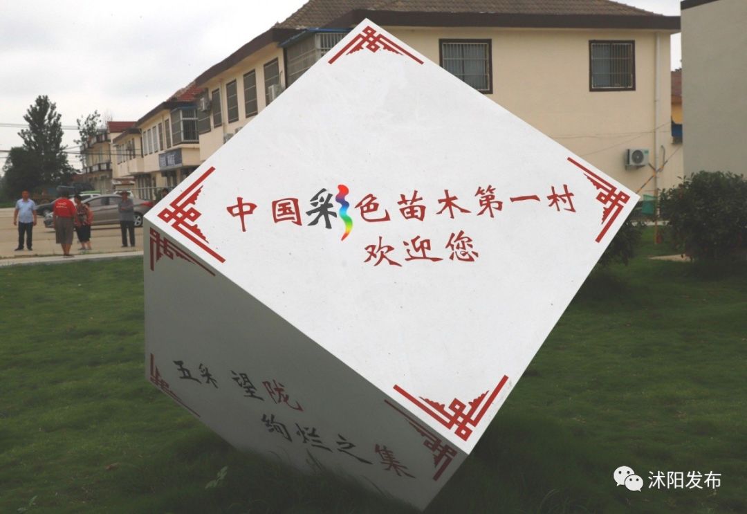 跟着书记县长去观摩，看沭阳七月“美景”红似火！