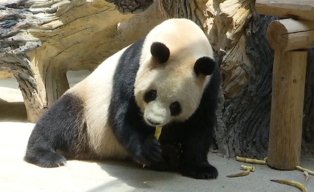 娴锋磱鍔ㄧ墿閬挎殤绂忓埄,鍔ㄧ墿閬挎殤楂樻俯绂忓埄