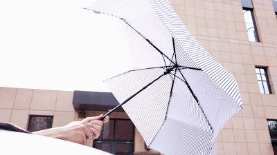 能抗8级大风和车压的暴风伞测评,硬汉级暴雨伞