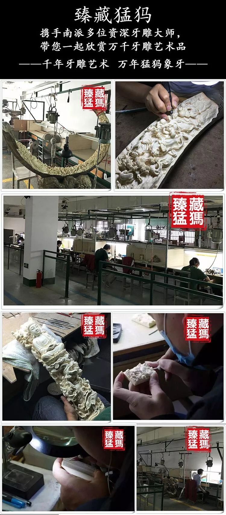 猛犸象牙收藏合法 (象牙与猛犸象牙收藏)