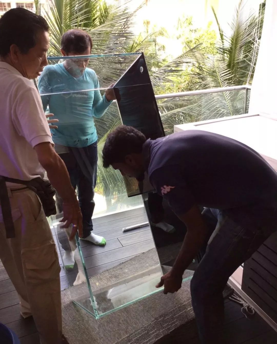 新开缸每天都有鱼死,新开缸鱼一直死