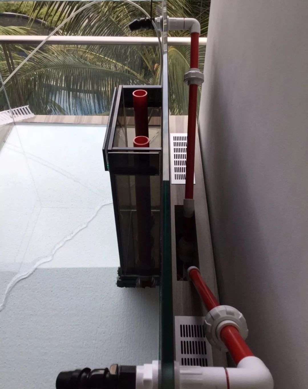 新开缸每天都有鱼死,新开缸鱼一直死