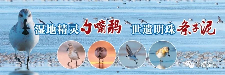 恶犬伤人民警处置,郯城疯牛出没民警果断处置