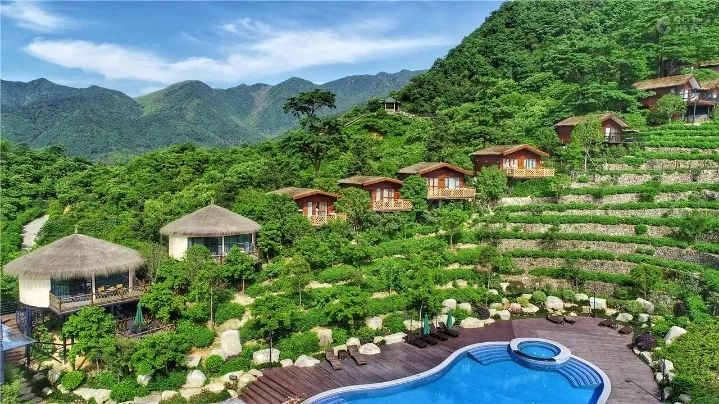 全球最受欢迎树屋酒店｜夜晚坠入大自然的梦乡，清晨在森林的枝桠间醒来