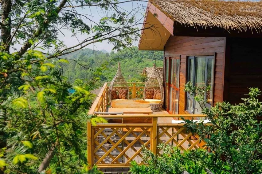 全球最受欢迎树屋酒店｜夜晚坠入大自然的梦乡，清晨在森林的枝桠间醒来