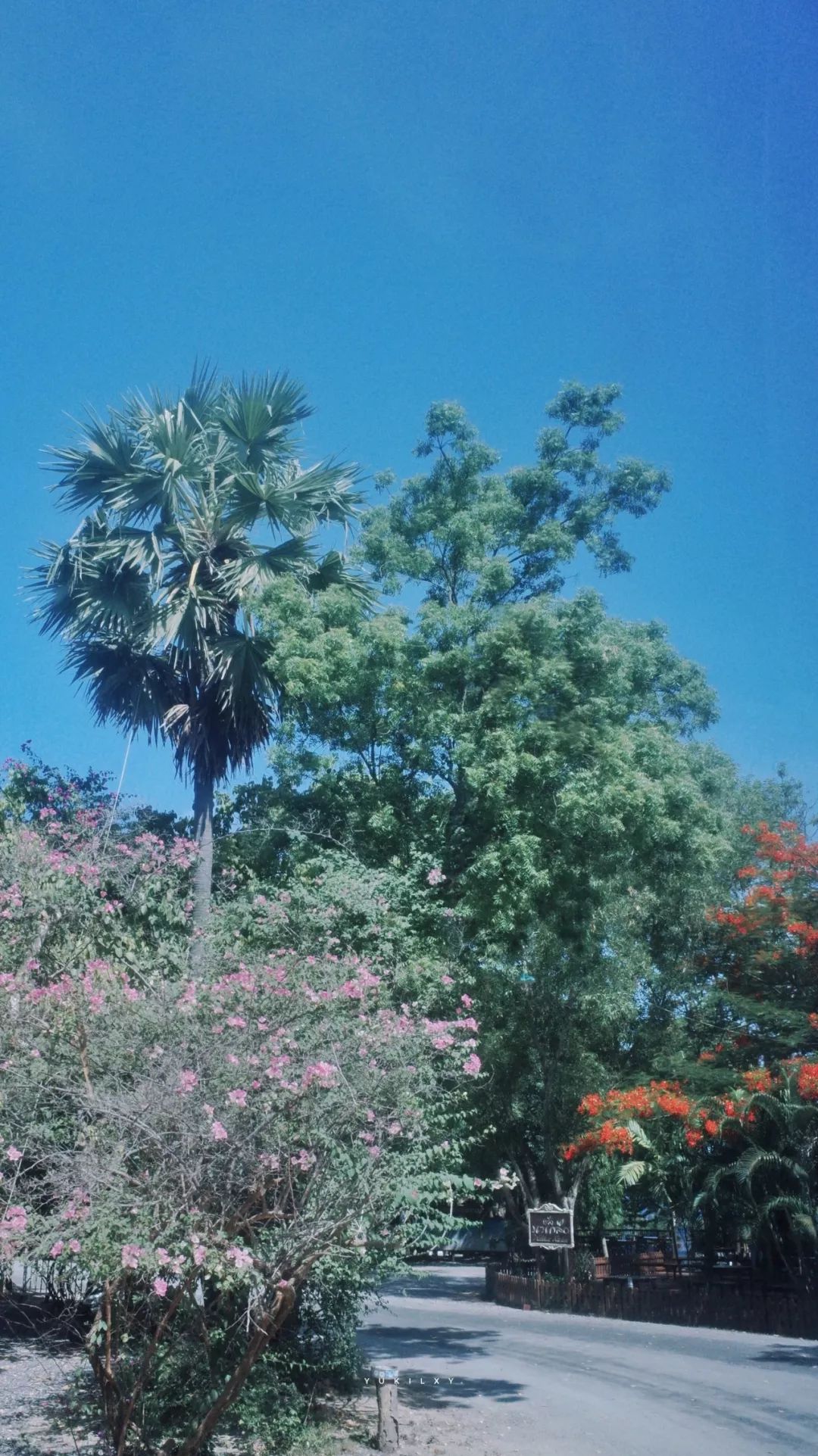 在国外呆不下去想回国怎么办,在国外留学不回家