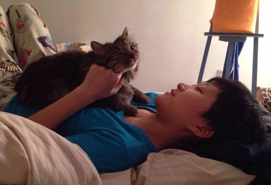 准备怀孕的人可以养狗养猫吗,怀孕家里养猫对胎儿有影响吗