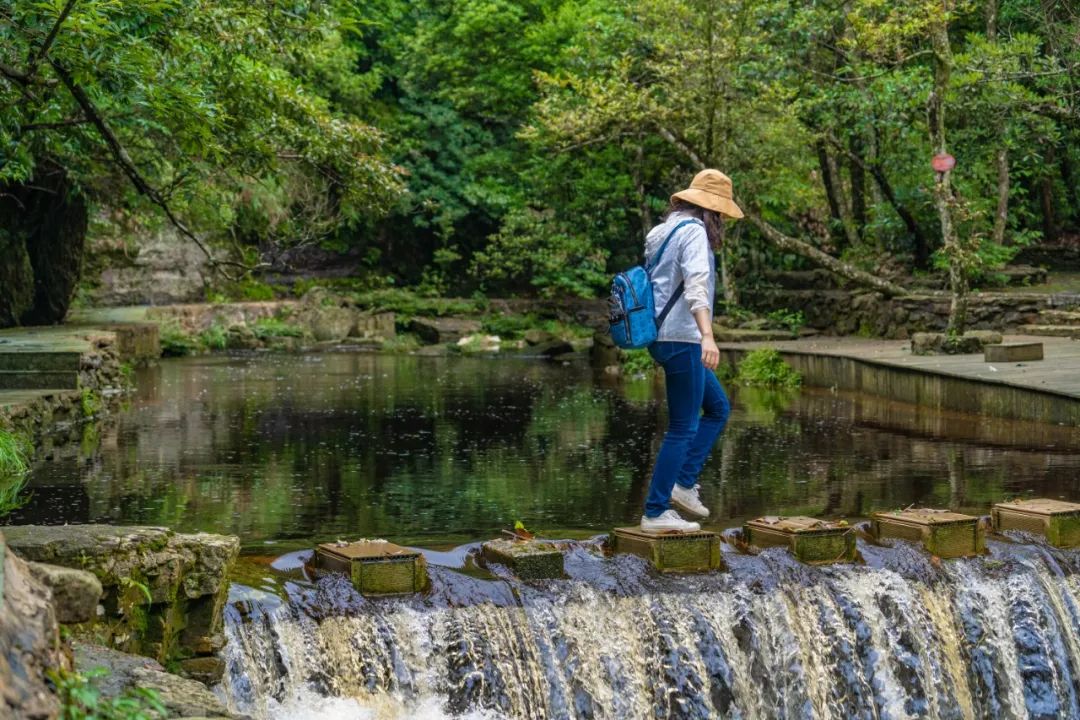 大明山视频播放,大明山视频完整版
