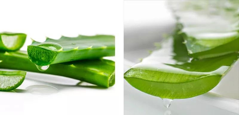 涓庣埍璞嗙殑浜插瘑浜掑姩,鍜岀埍璞嗕簰鍔ㄧ殑鐢滆湝鐬棿