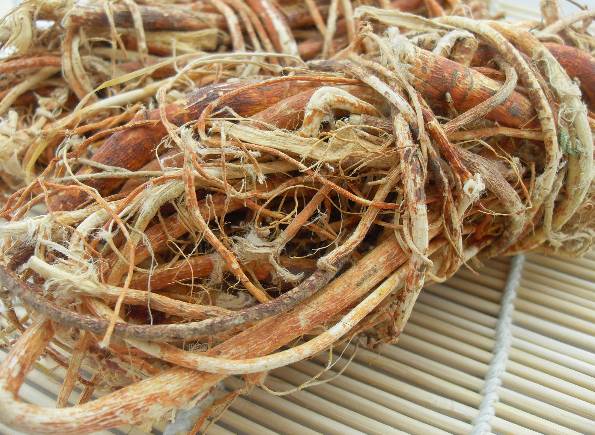 正宗东北人参煲汤,南方人的人参煲汤味道好极了