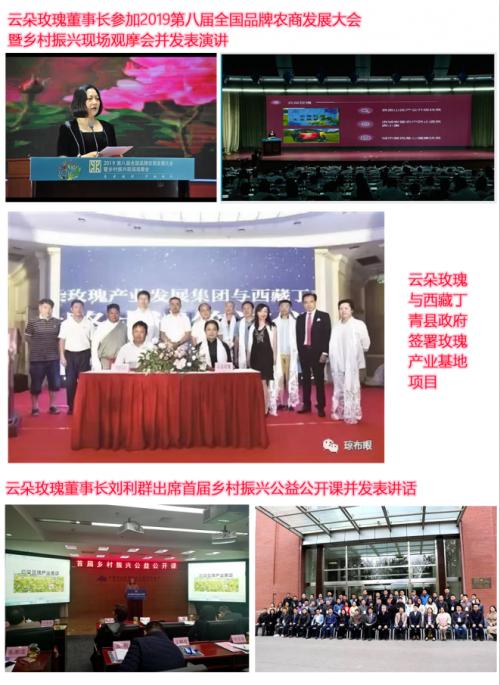 云朵玫瑰值得投资吗,云朵玫瑰花茶代理