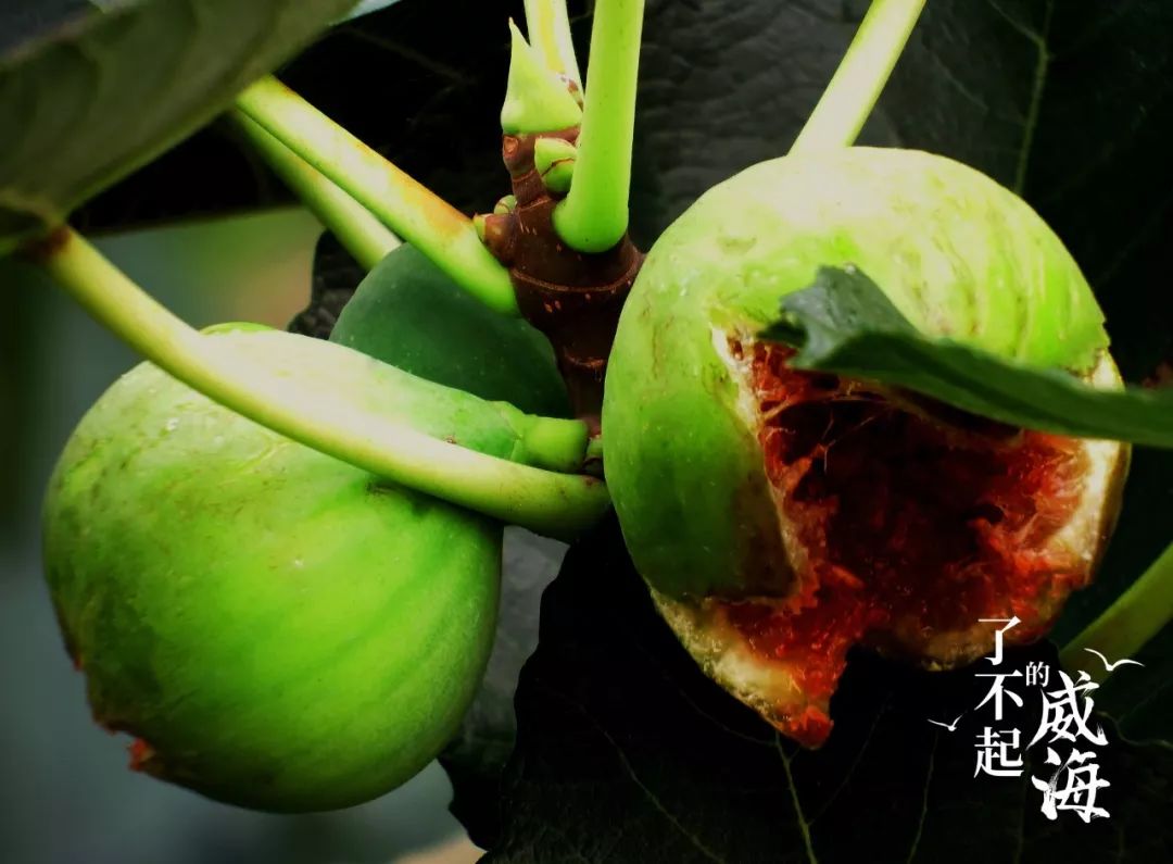 浜嗕笉璧风殑濞佹捣,浜嗕笉璧风殑濞佹捣浠婃棩澶存潯