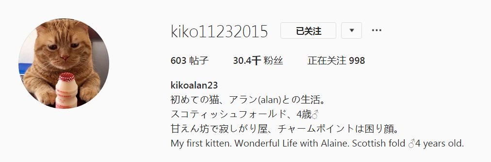 日本小丧猫凭“厌世脸”火遍全网,30w网友心都被萌化了…