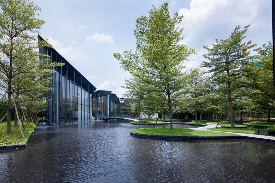 石语慕松林，水苑倾闻荫|广州保利·花城纪