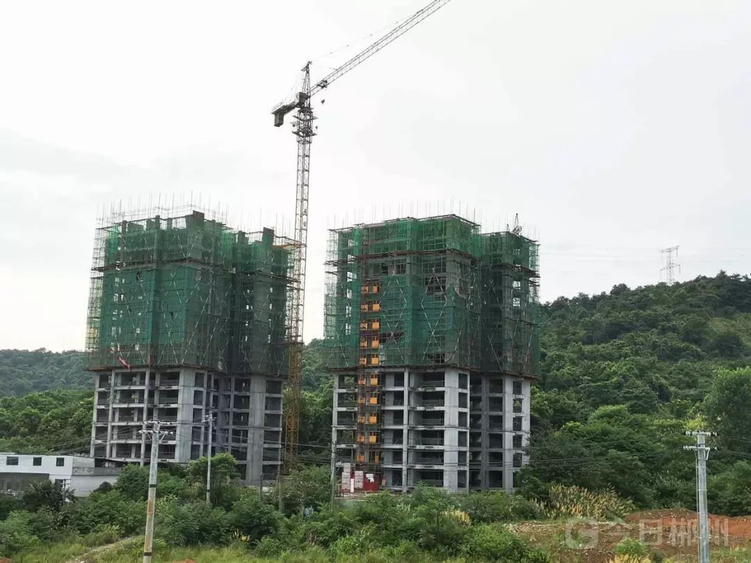 交了定金开发商停工了能退吗,百合公馆停工