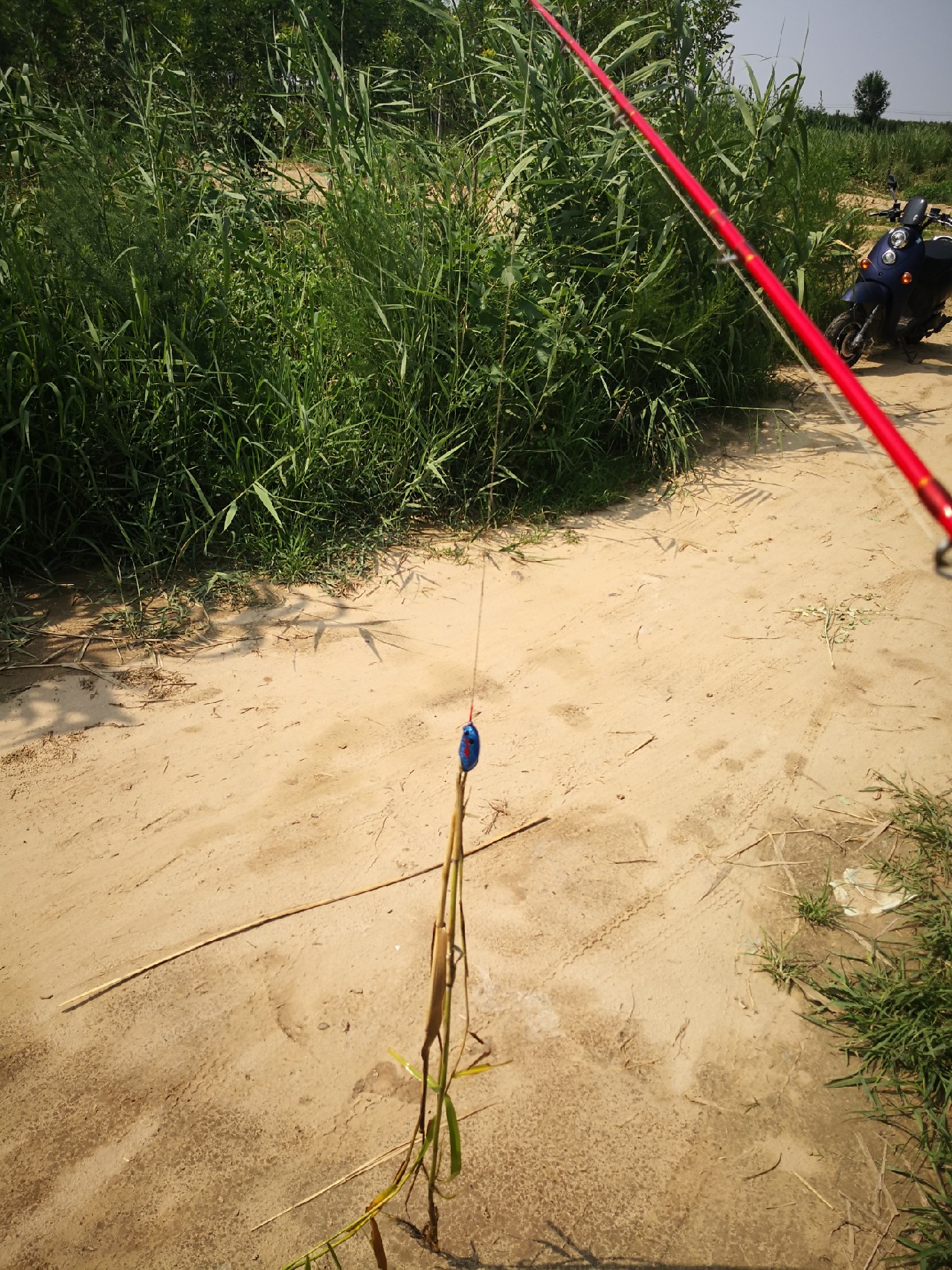 廉颇老矣尚能饭否下句,廉颇老矣尚能饭否下一句神回复