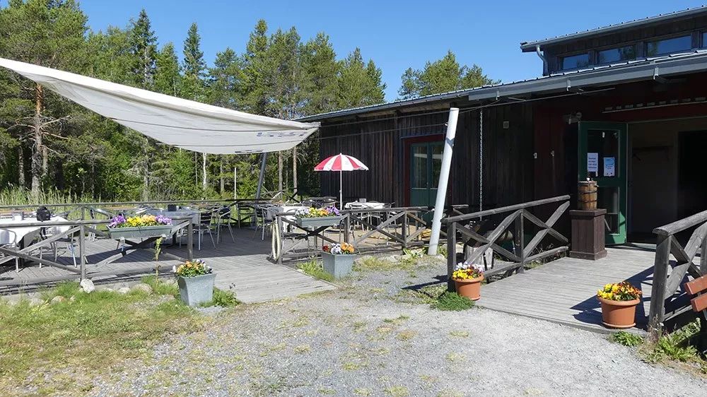 世界第一臭的食物,挑战世界最臭食物瑞典鲱鱼