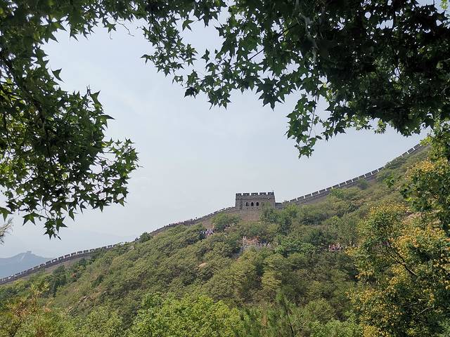 一家老小向前冲300集连续播放,一家老小向前冲共800集