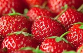 请分别分析蔬菜和水果的营养价值,各种水果的营养价值及功效汇总表