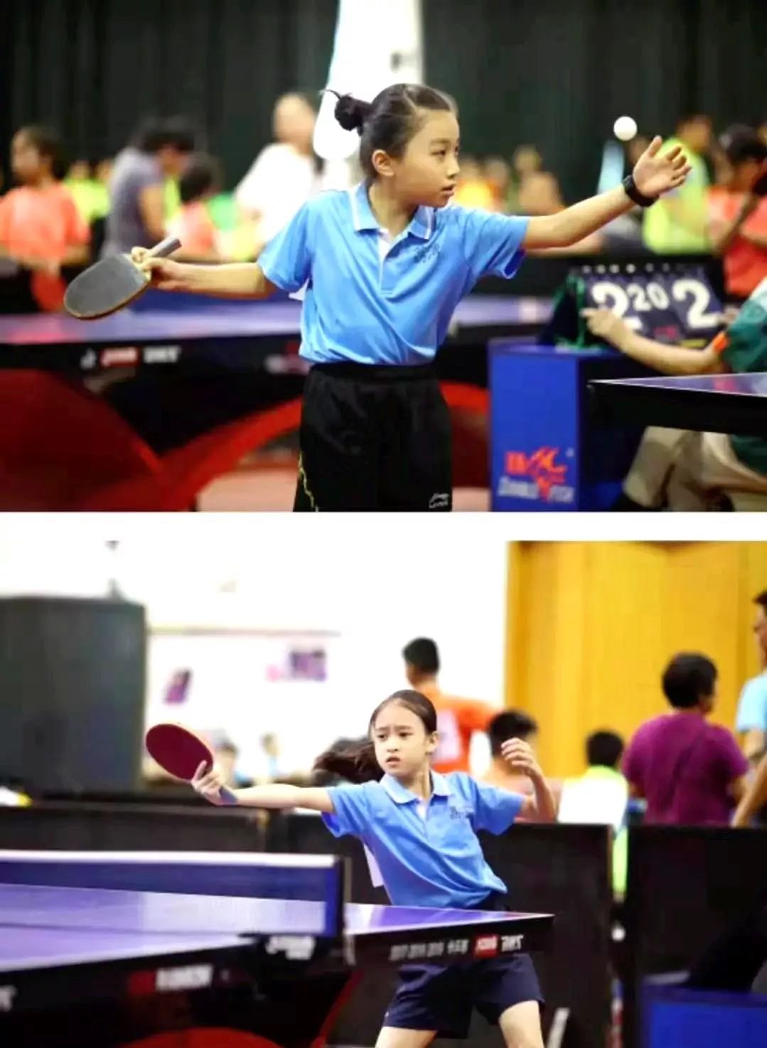 64金46银56铜！市锦标赛落幕，荔湾健儿们燃爆了！