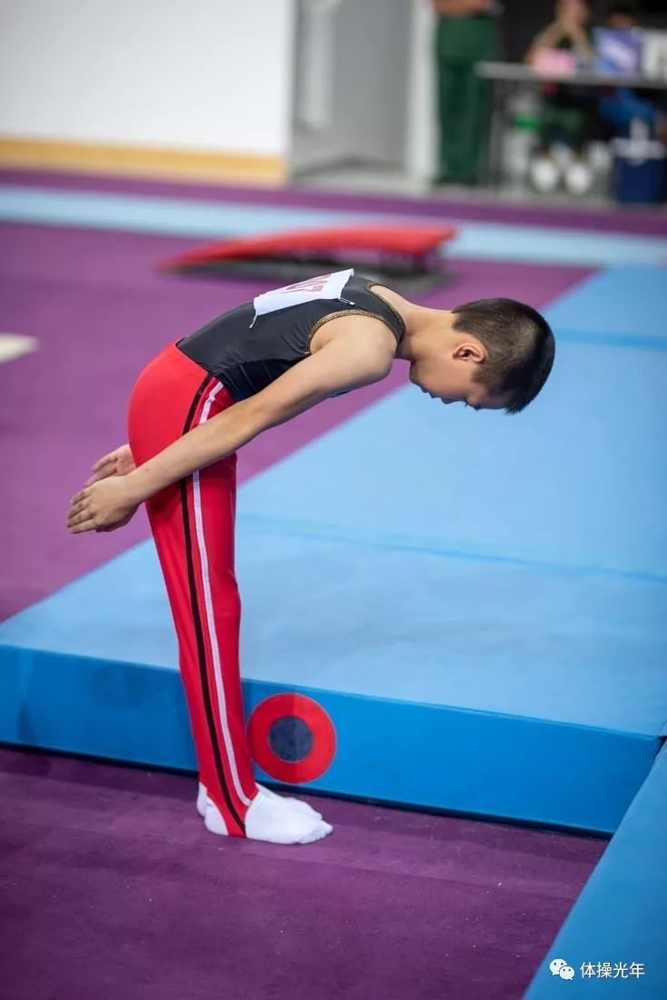 安徽省青少年体操锦标赛,广东省青少年艺术体操锦标赛