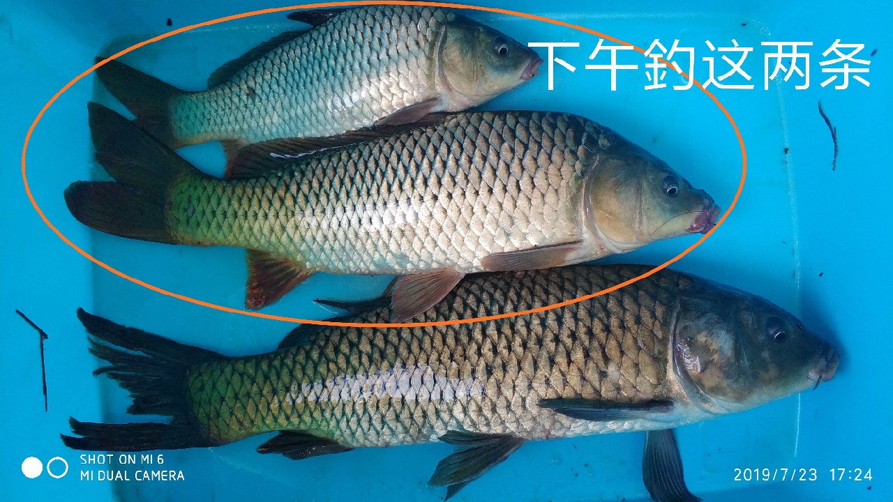 钓鱼享百味人生,钓鱼享乐趣