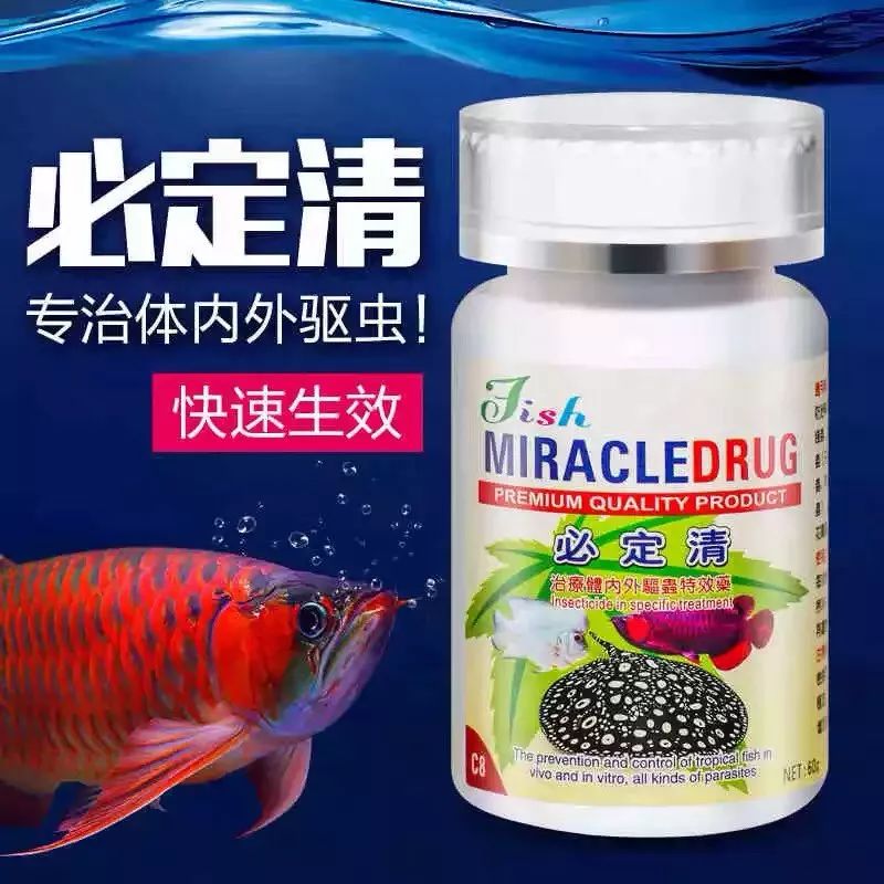 周末狂欢6.3礼包多少元宝,周末狂欢购好物播不停