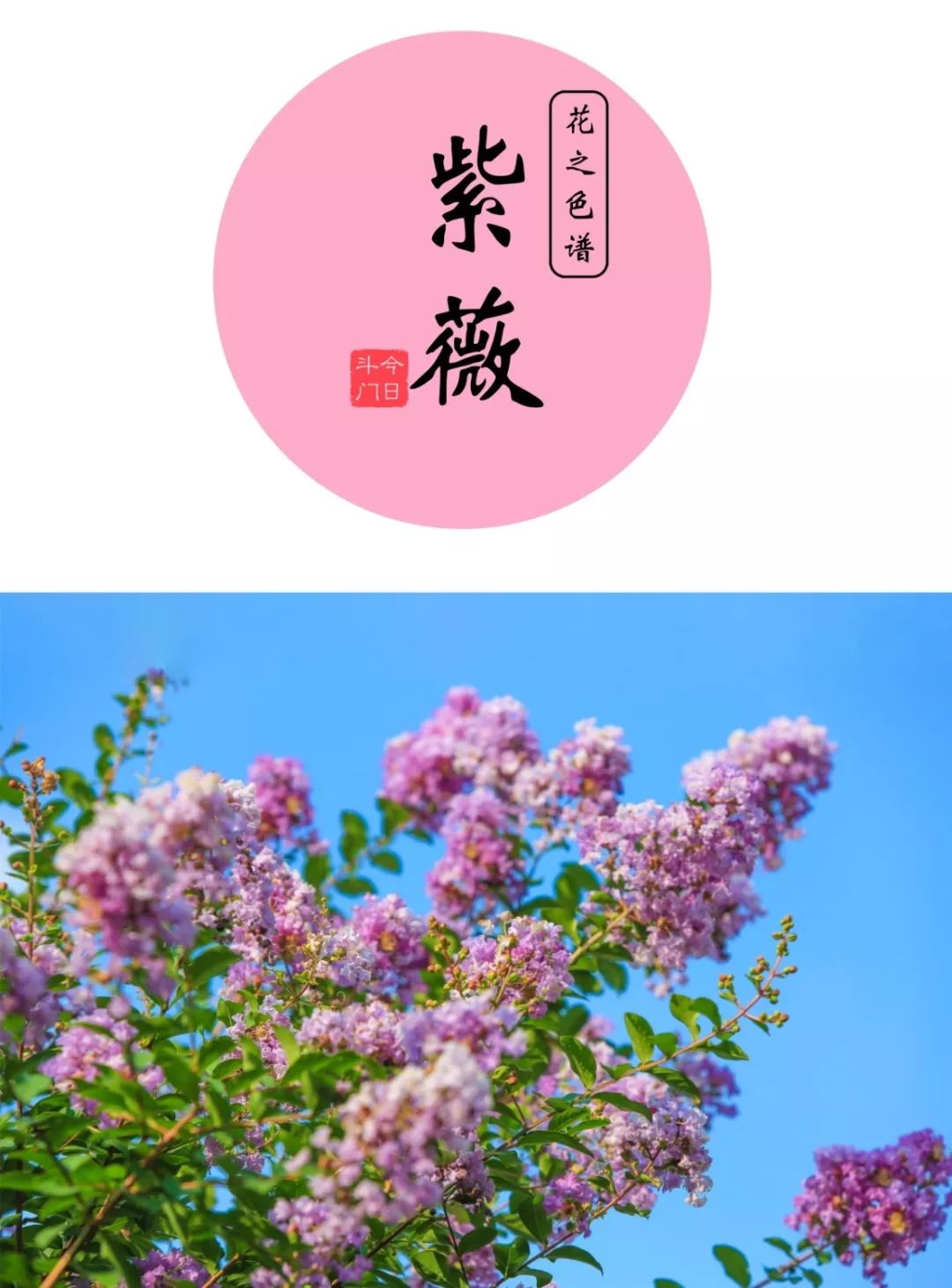 喜欢拍照的快来打卡,想去拍照的景点