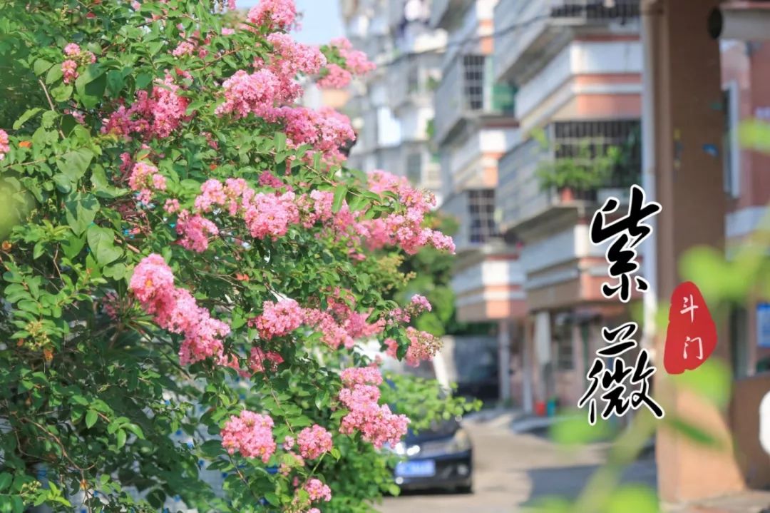 喜欢拍照的快来打卡,想去拍照的景点