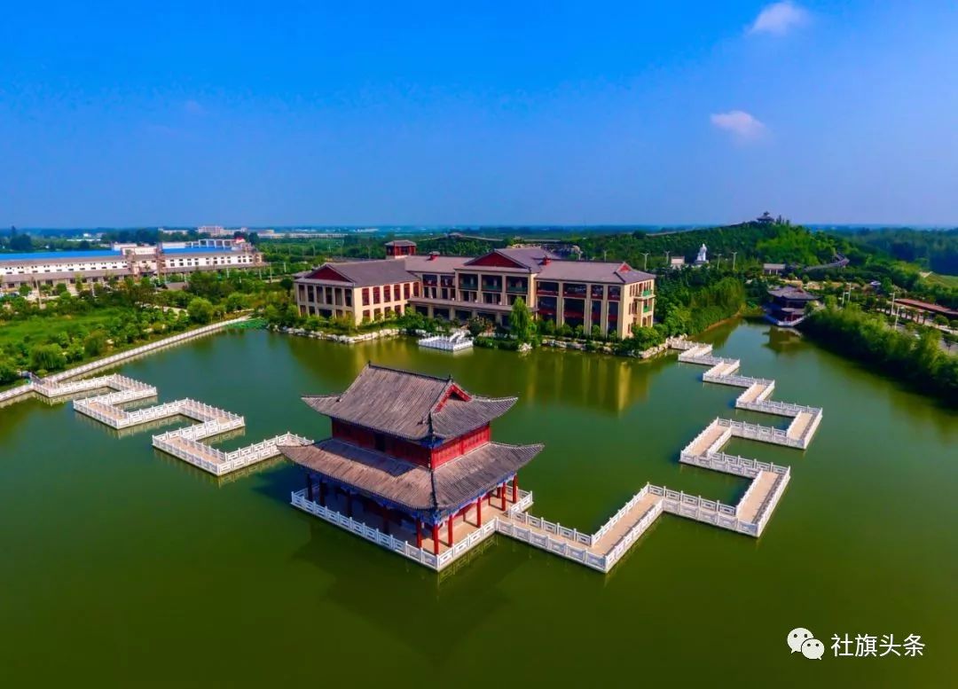 豫酒浓香经典,豫酒老酒