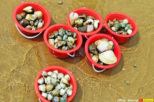 在礐石居然有这么一个世外桃源,日照有哪些海滩可以免费赶海