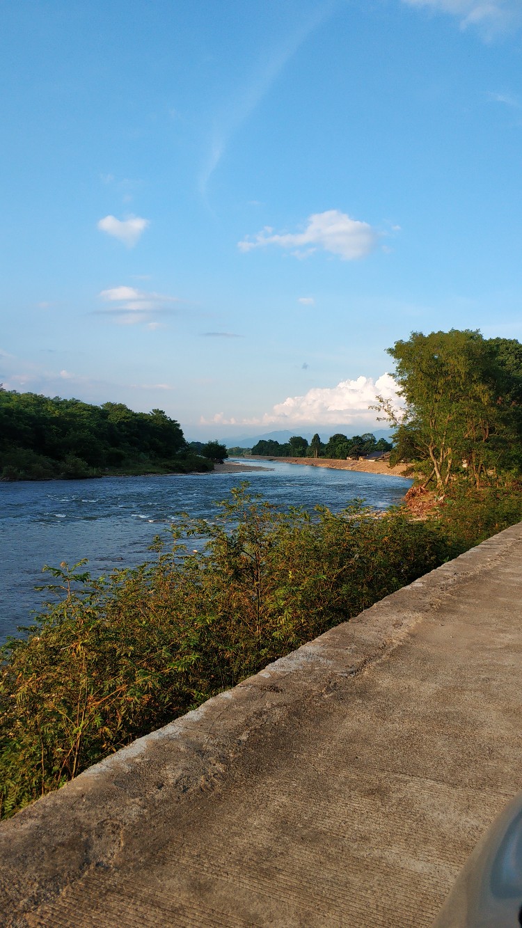 家乡小河里的鱼种,家乡小河里的鱼