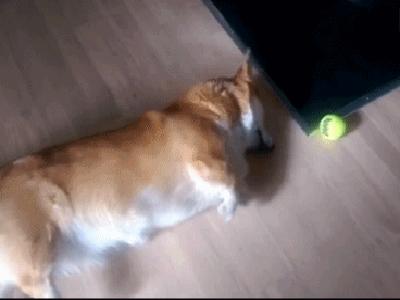 佛山体育馆免费时间,佛山南海多个场馆恢复开放