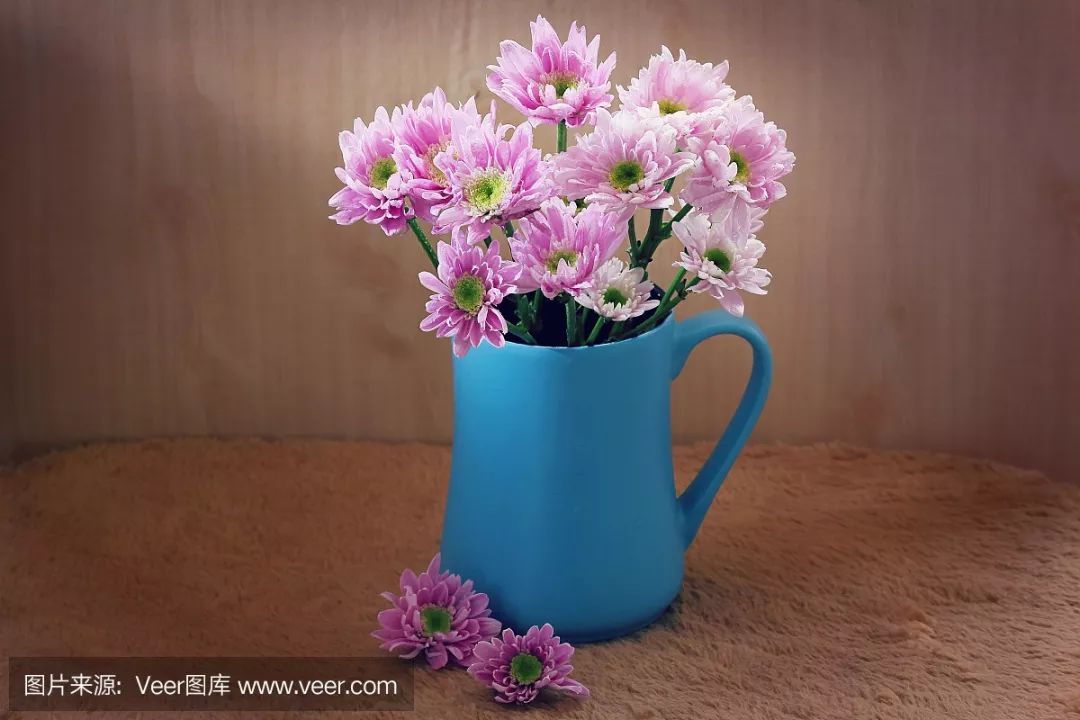 涔﹂娉曢櫌,涔﹂娉曢櫌灏忚