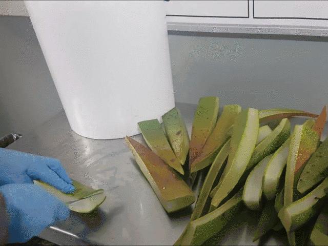 芦荟胶祛痘补水晒后修复,零添加无危害芦荟胶补水推荐