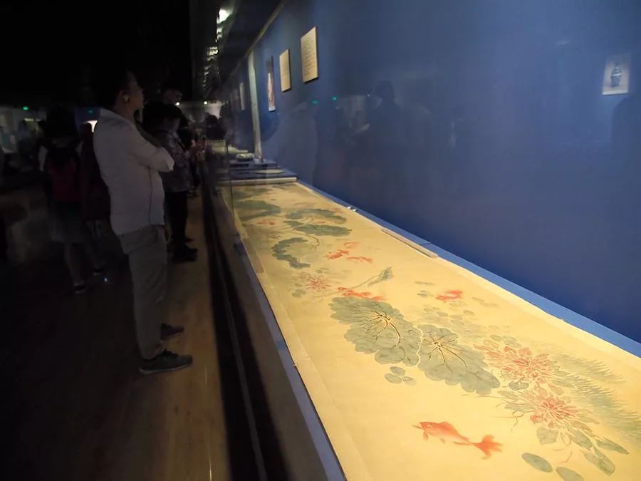 1200条金鱼,200条金鱼