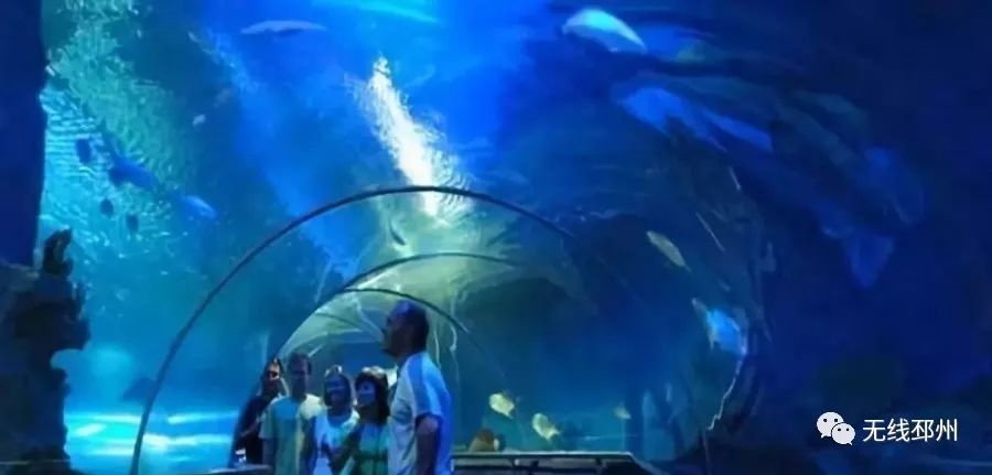 标哥带你去旅行直播,主播带你去旅行新闻稿