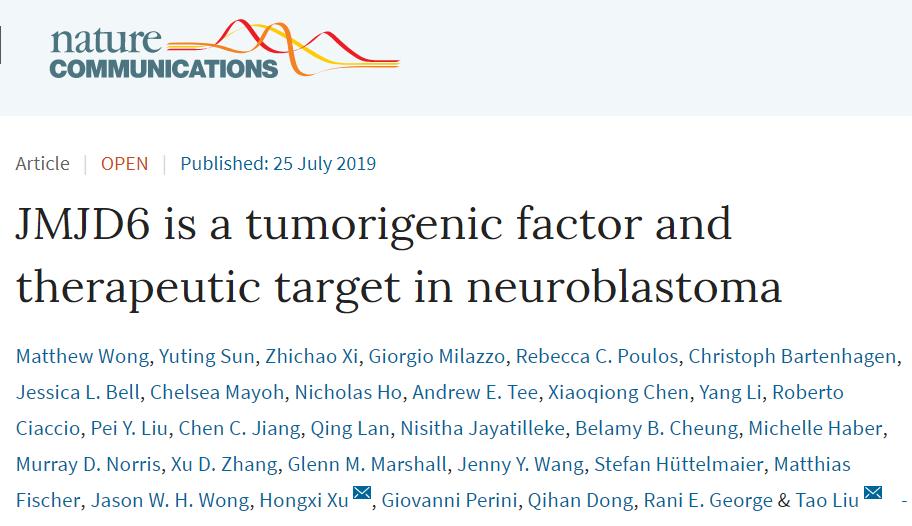 新闻|刘涛/徐宏喜团队发现神经母细胞瘤的致癌因子及治疗靶点