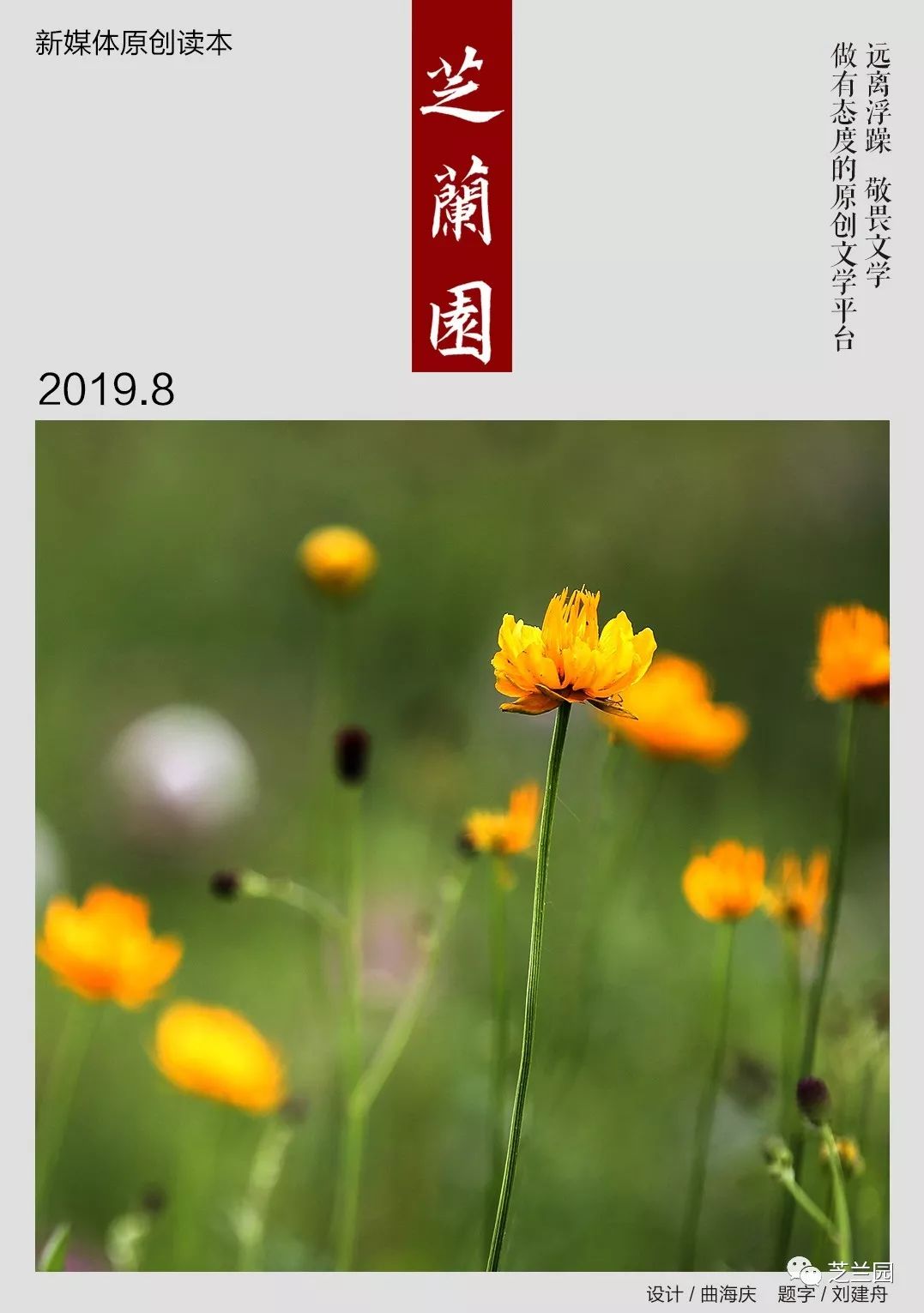 「小说」张俊芳丨小文(一)