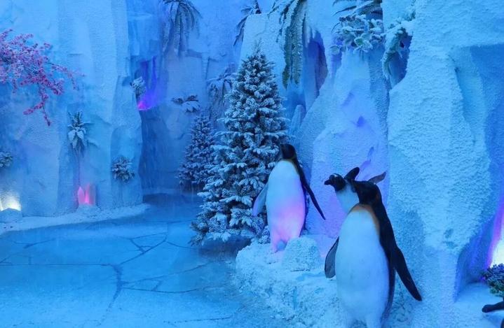 中国景区第一个玻璃栈道,全国最美最刺激的玻璃栈道