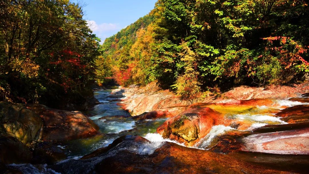 便宜又清凉的避暑地,避暑地推荐