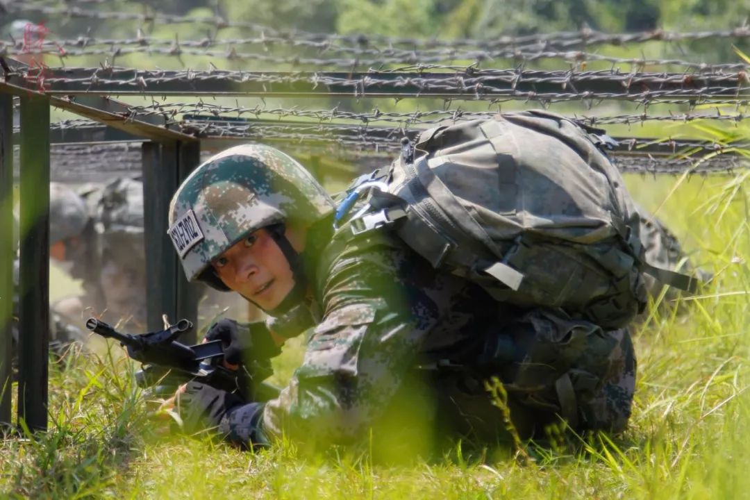 03式自动步枪和95式步枪谁好,03式步枪对比95步枪