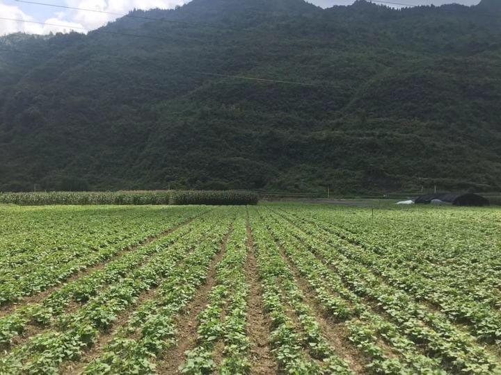 情暖扶贫路⑪丨“杭恩”引活水坪坝营解“渴”