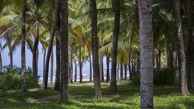 近七天游三亚,海南轻松游