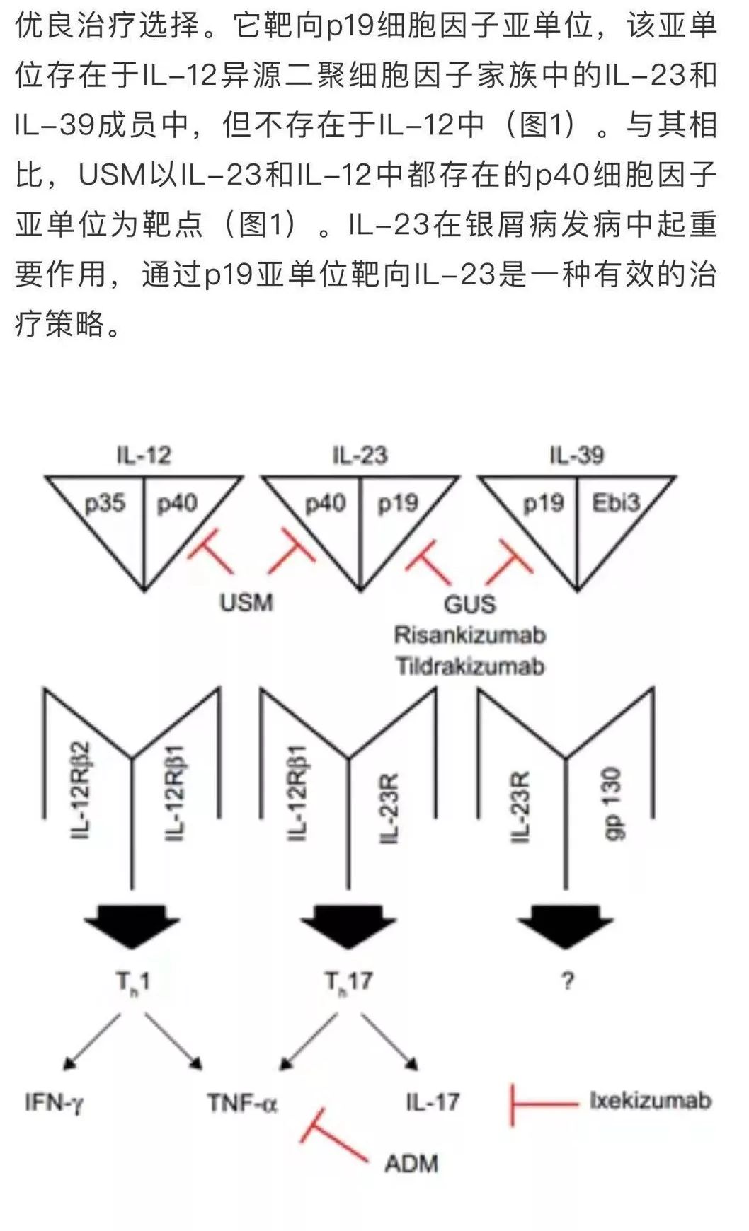 靶向药治疗银屑病什么意思,靶向治疗银屑病