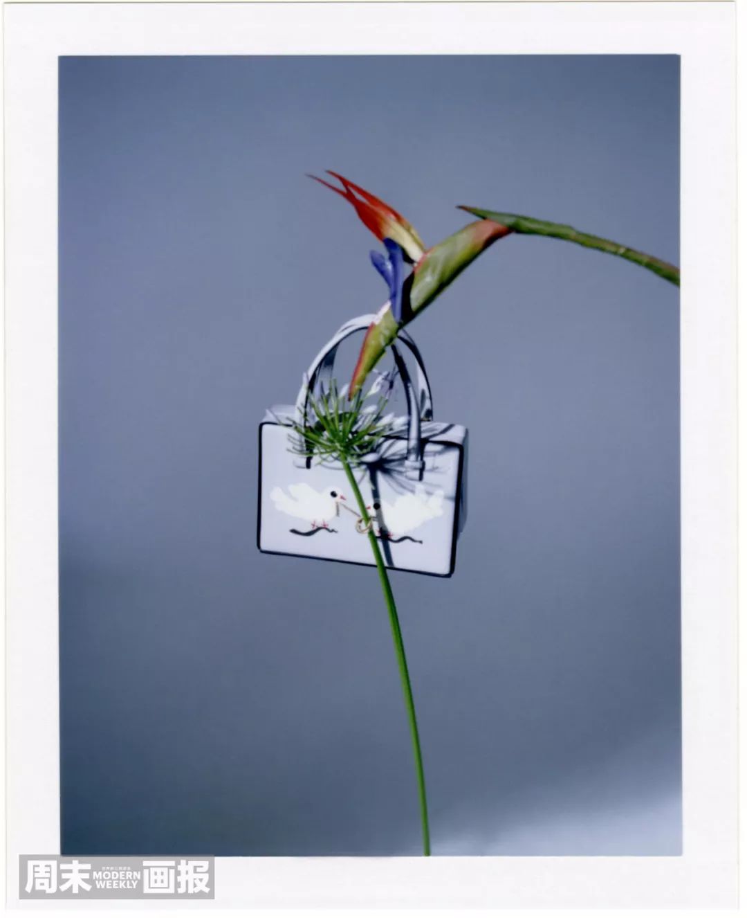 2021所有电视剧的cp,2022年剧集cp排行榜