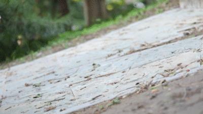 一双鞋竟装上28片“刀锋”弹簧？！穿上暴走跳跃，感觉能起飞了